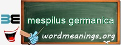 WordMeaning blackboard for mespilus germanica